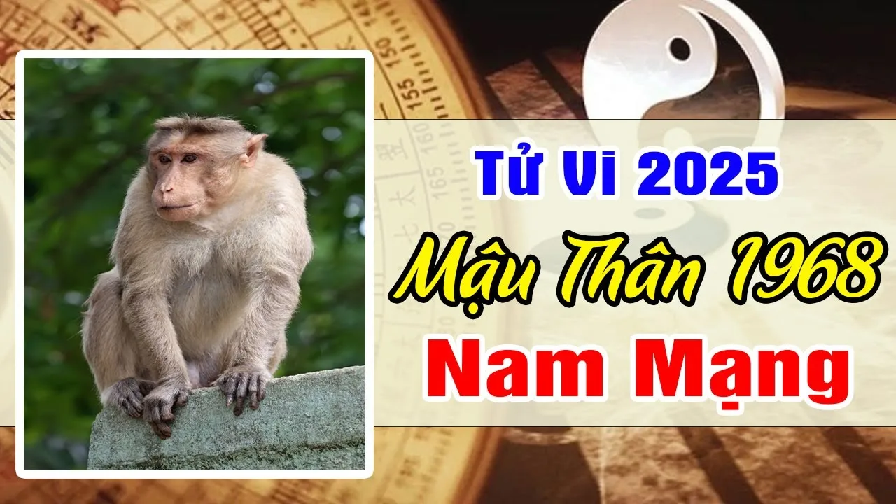 Xem tử vi tuổi Mậu Thân 1968 - Nam mạng năm 2025 CHI TIẾT NHẤT
